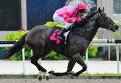 John Powell guides One Rar to victory in Race 3 on Sunday.<br>Photo by Singapore Turf Club